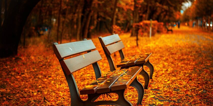Herbstlaub