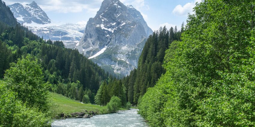 Bachlauf